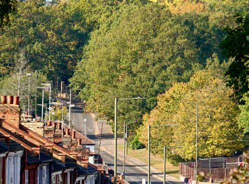 priyanka-chechi-0K-jAljsXH0-unsplash